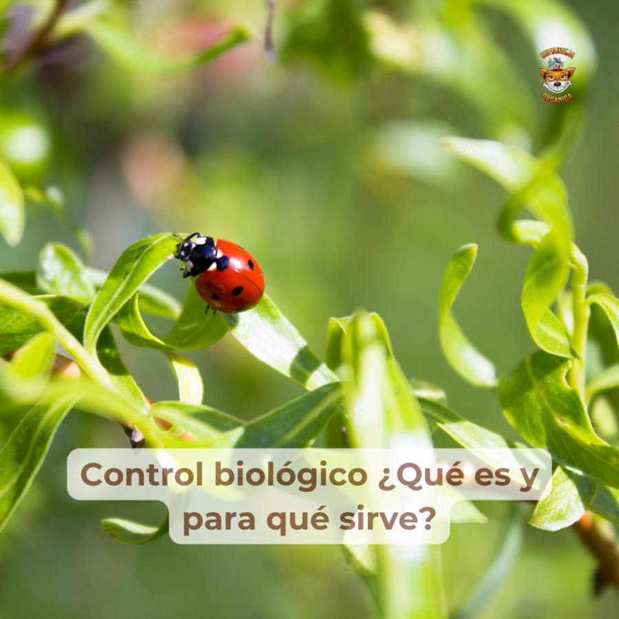 Control biológico ¿Qué es y para qué sirve?